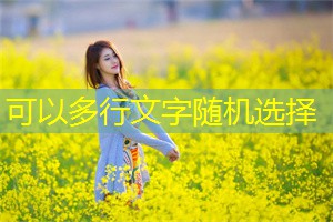 社会角色与性别意识：上海的男女相处